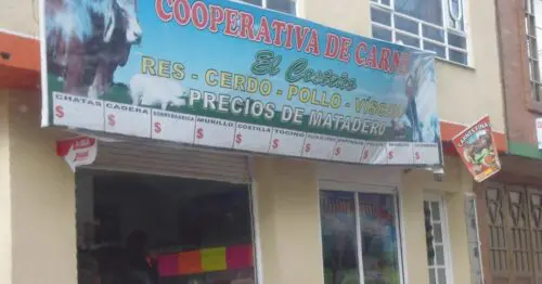 COOPERATIVA DE CARNES EL COSTENO COOPERATIVA DE CARNES EL COSTENO